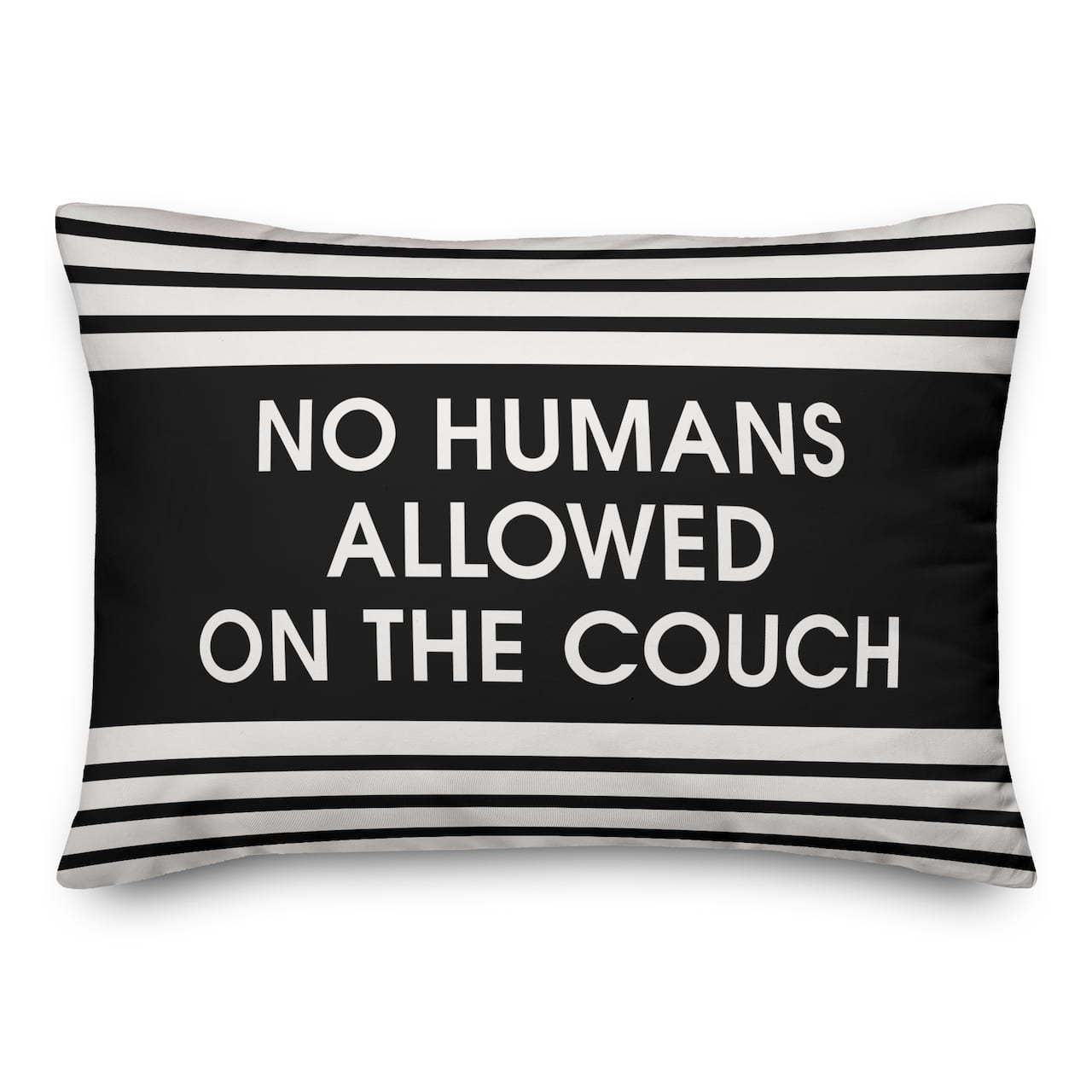 No Humans Allowed on the Couch Throw Pillow